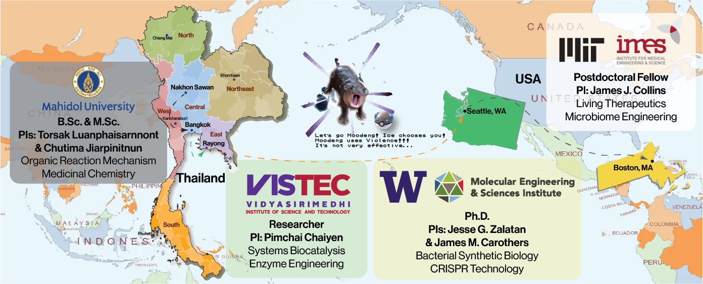 Ice's academic and research journey from Thailand to Seattle and Boston